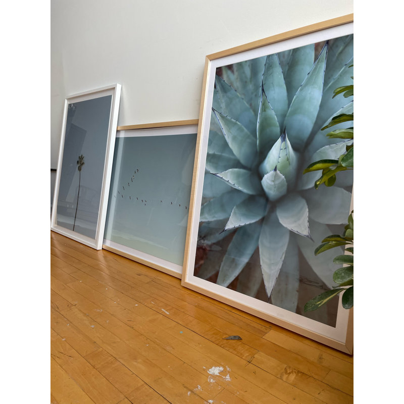 Plants & Flowers Print, White, 36" H x 24" W x 1.88" D