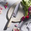 MIYABI Birchwood SG2-5000MCD 6.5-Inch Bunka Knife