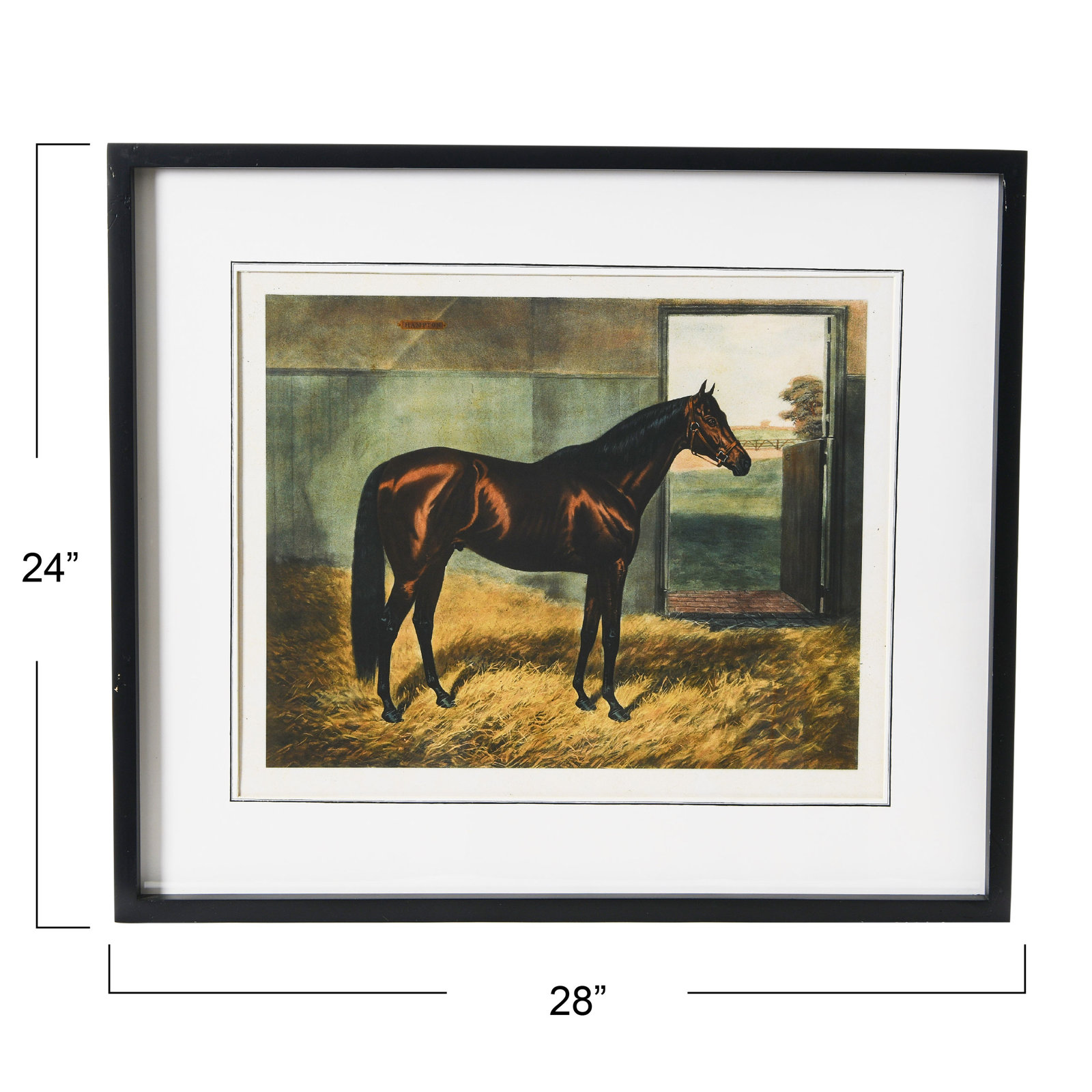 Horse