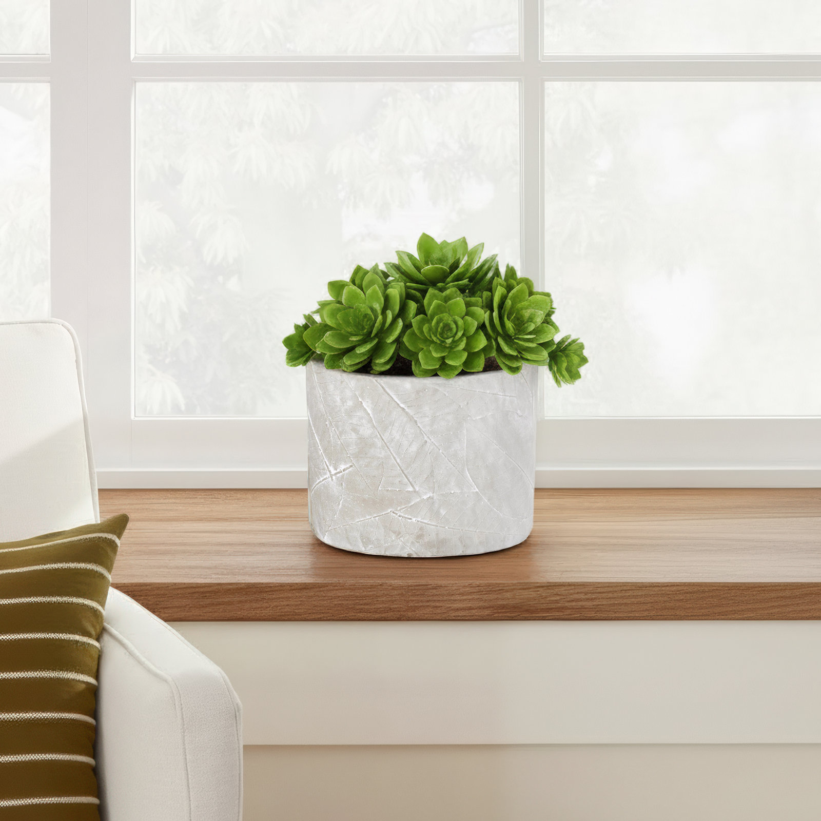 Potomac 7" Pot Planter