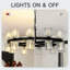 20 - Light Chandelier