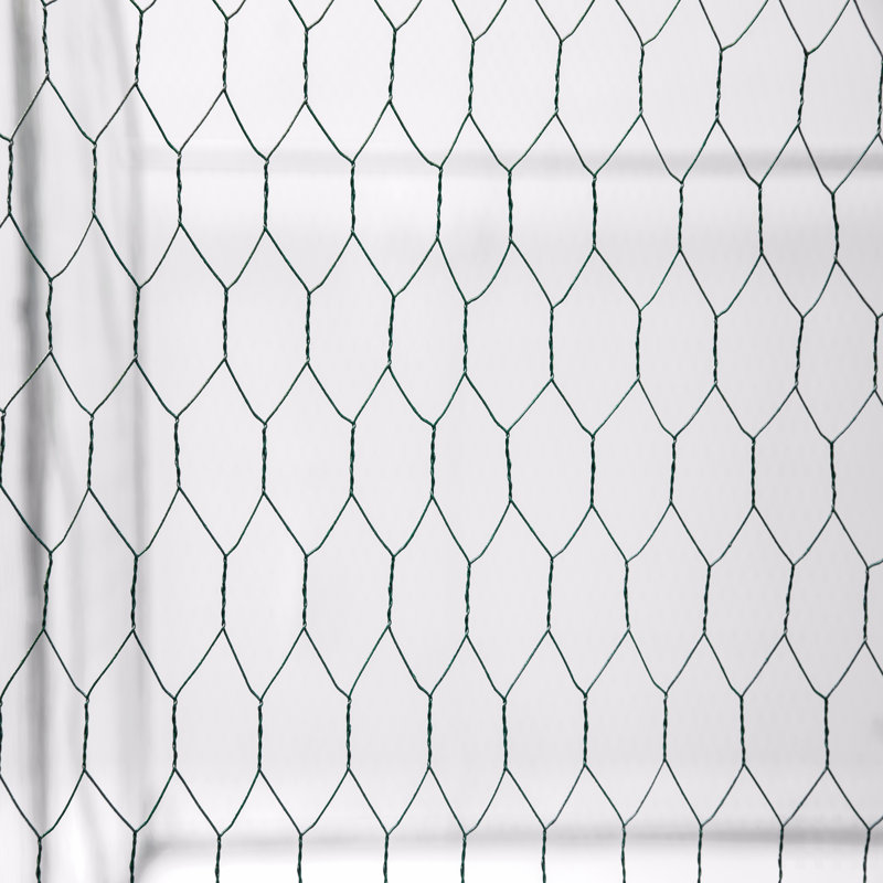Poulailler d'extérieur en métal, H 78,74 po x l 157,48 po x P 118,11 po