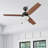 Elamin 48'' Ceiling Fan with LED Lights