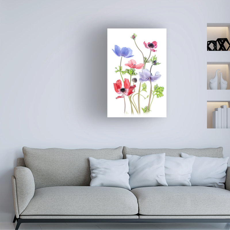 Contemporary, 30" W x 47" H