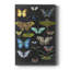«Graphic Butterfly Taxonomie I», peinture sur toile tendue-2071163908