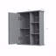 Armoire murale 23,6 po