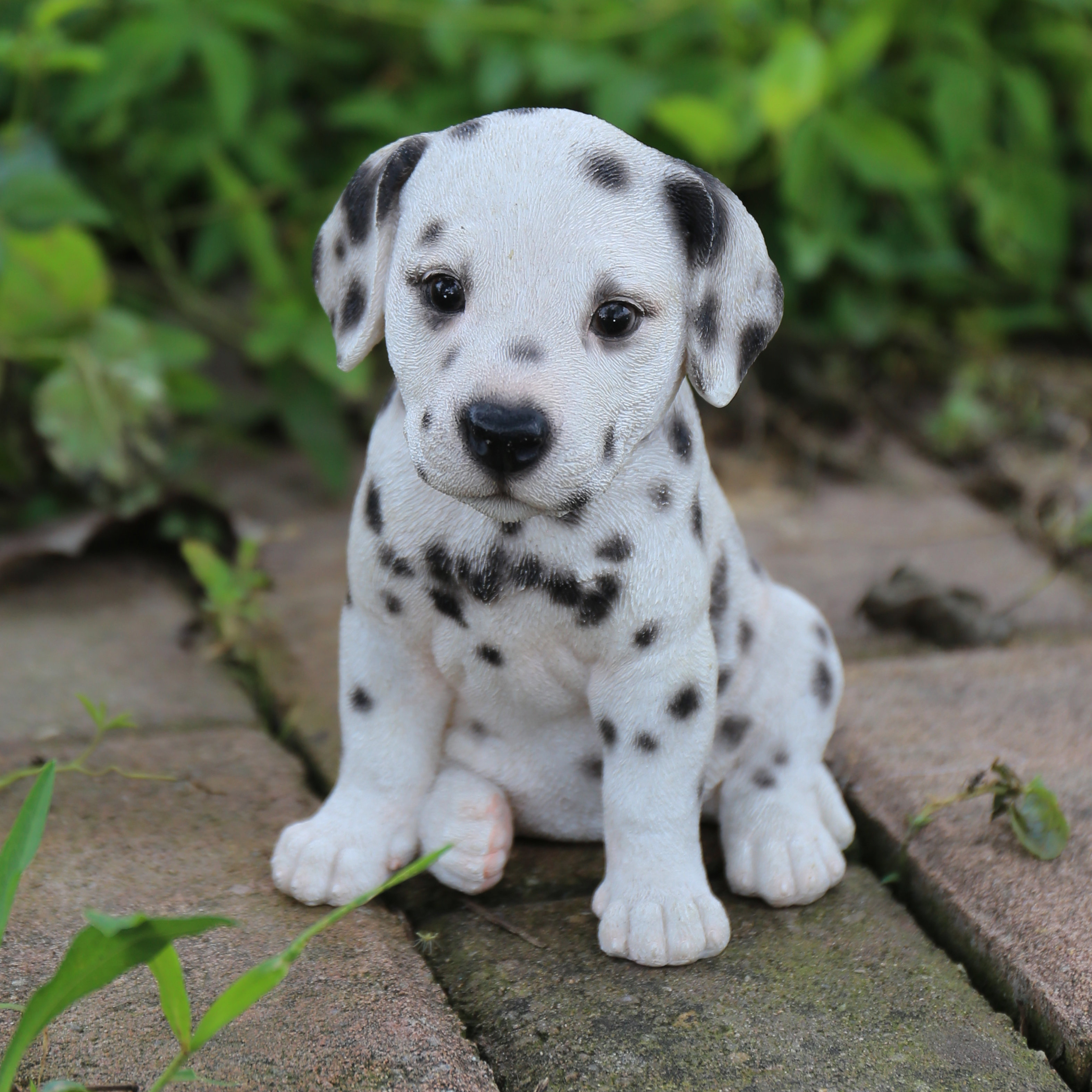 Hi-Line Gift Ltd. Dalmatian Puppy Statue &amp; Reviews | Wayfair