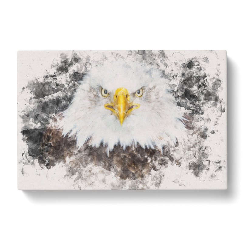 Bald Eagle Bird - Wrapped Canvas Print, 35cm H x 50cm W x 3cm D