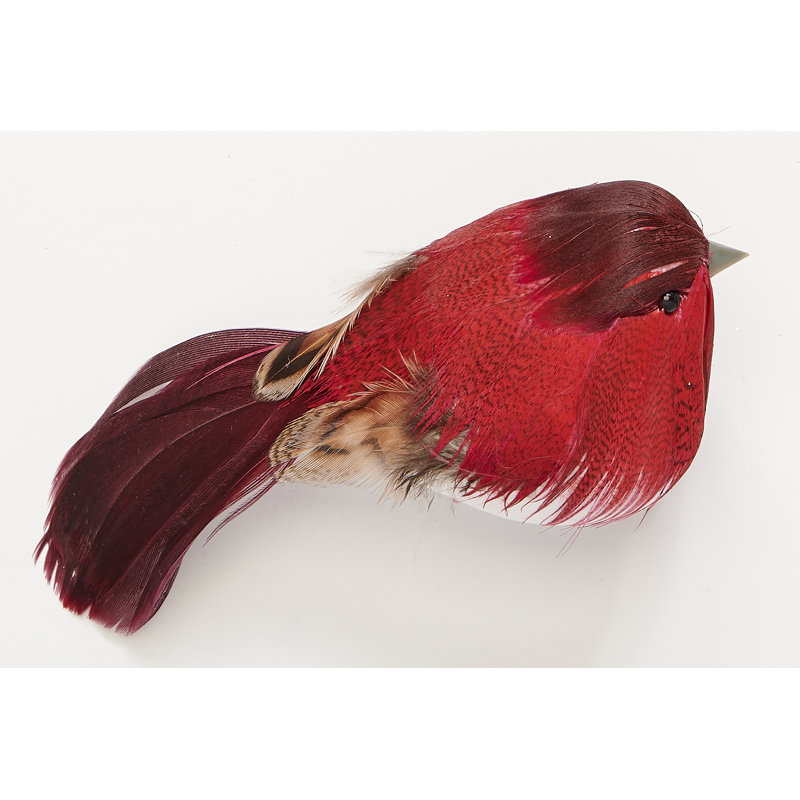 Oiseau à plumes 4,5 po avec pince, Rouge