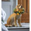 Labrador Figurine with Removable Holiday Wreath