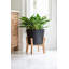 Jardinière contemporaine 16 "avec support, paquet de 2