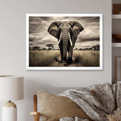 " Africa Elephants Grace "