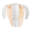 Lucia 3 - Light Flush Mounted Sconce