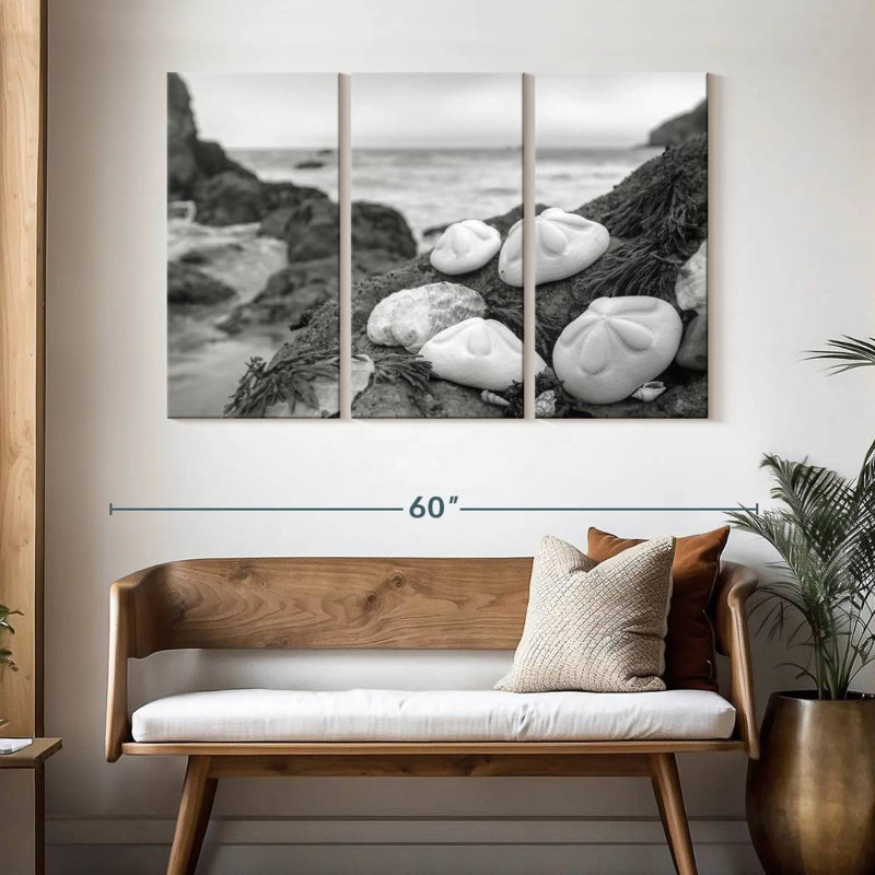 Brampt White Crescent Beach Shells IV, 32" H x 50" W