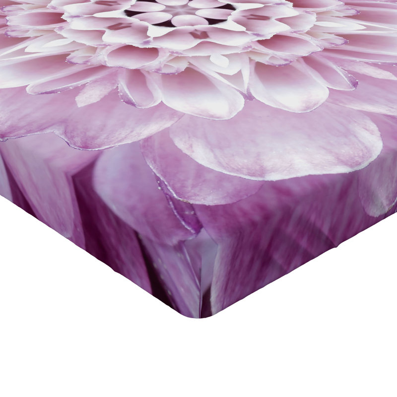 Ensemble de 2 draps-housse dégradés Ambesonne bleu sarcelle très clair bleu pâle et blanc, Violet, lilas pâle / floral