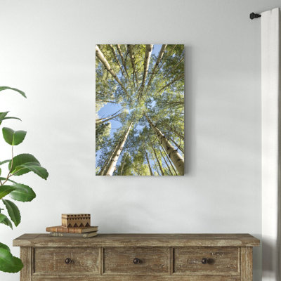 «Look Up» par Danny Head - impression sur toile tendue