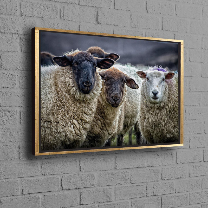 Sheep Wall Art on Canvas for Farmhouse Style Home Decor with Animal Theme Ideal as a Gift and Perfect for Enhancing Farm Wall Aesthetics Offering Framed Art Prints