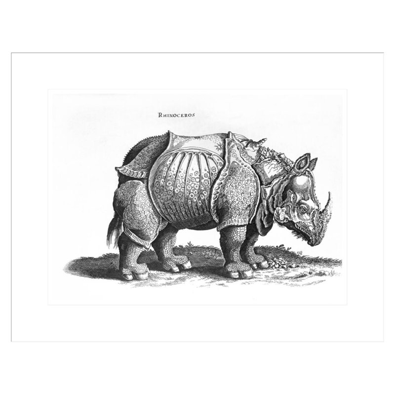 «Rhinoceros no 76» par «historique animal» par Conrad Gesner (1516-65) par Albrecht Dürer, impression giclée encadrée