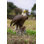 Animals Weather Resistant Water Resistant UV Resistant Polyresin Garden Statue