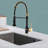 GAWEZA Pull Down Kitchen Faucet