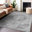 Tapis argenté intérieur / extérieur lavable à la machine Claudian ACN1238-103712441
