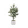 66.57'' Faux Olive Tree Tree in Planter