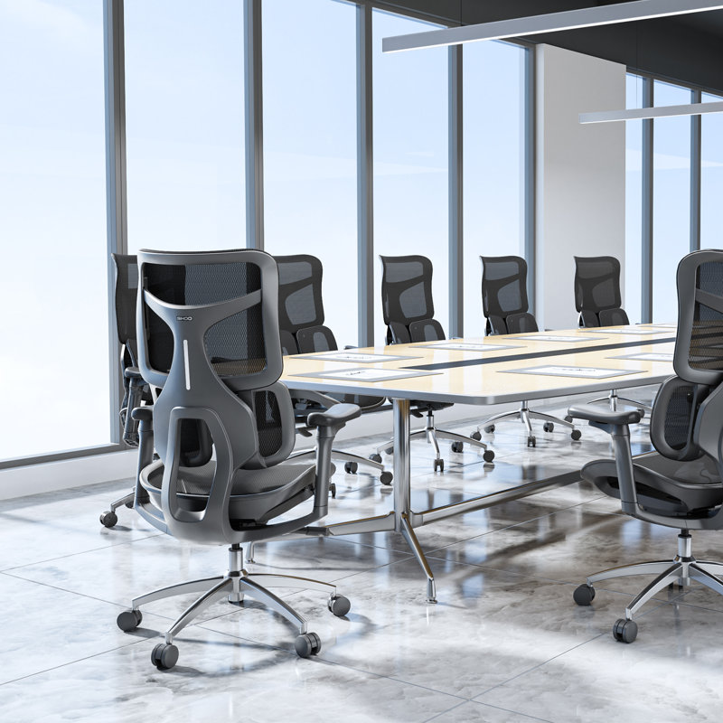 Ergonomic Office Chair, with Dual Dynamic Lumbar Support, 4D Armrests, Black/Silver, Black