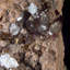 Adamite et calcite sur limonite. Mapami, Mexique
