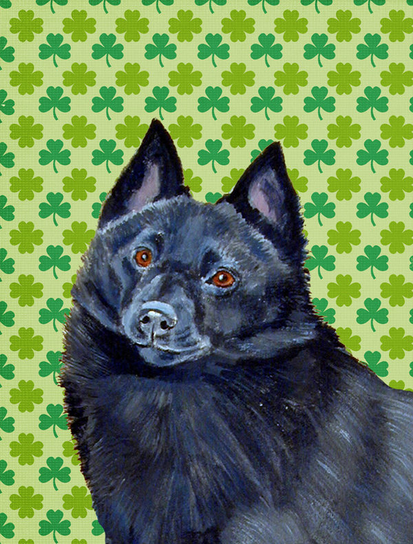 Drapeau de jardin à 2 côtés st. patrick day trèfle, Schipperke