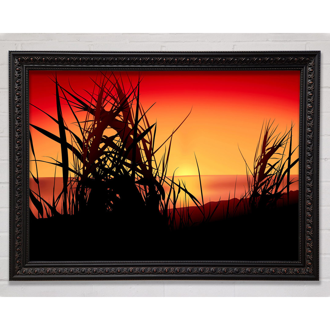 The Sunset Reeds - Einzelner Bilderrahmen Kunstdrucke