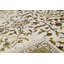 Oriental Area Rug