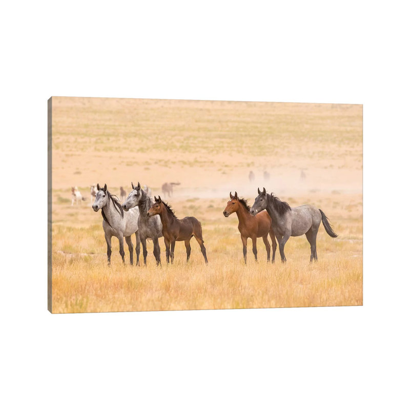USA, Utah, Tooele County. Wild horses alert. 1 Piece Wrapped Canvas Wall Art, 30.48cm H x 45.72cm W