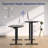 Midtown Value Height Adjustable Standing Desk, Single Motor, 60x30, Grey Strand Top with Black Frame-2013536060-2013536059