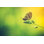 Photo rétro d'un beau papillon assis sur une plante - Photographie sur toile tendue
