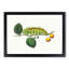 Caterpillar by George Shaw - Framed Print-55621332-55621335