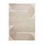 Apollo area rug Machine Woven Rectangle Grey-100512744