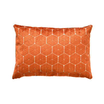 Coussin géométrique