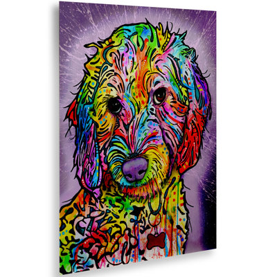 «Sweet Poodle», impression