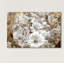 «Golden Daisies», impression sur toile-29830664