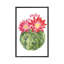 « cactus fleuri iii » par grace-pop, reproduction d’art-49904737-53128419