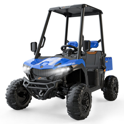 24V Kids Golf Cart Ride On Car, 2 Seater Ride On Toy with Detachable Awning, Large Storage Trunk, 4WD Electric Car for Kids, Parent Remote, Spring Suspension, LED Lights, Bluetooth, Ages 3-8, Blue