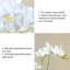 Fleurs artificielles réalistes, orchidées blanches dans un vase, pots de fleurs en céramique brossée dorée