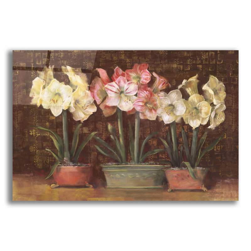 "Amaryllis On Brown" par Carol Rowan