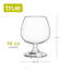 Verres 14 oz Snifter