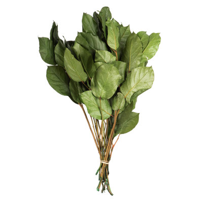 16 " H Faux Foliage Plant