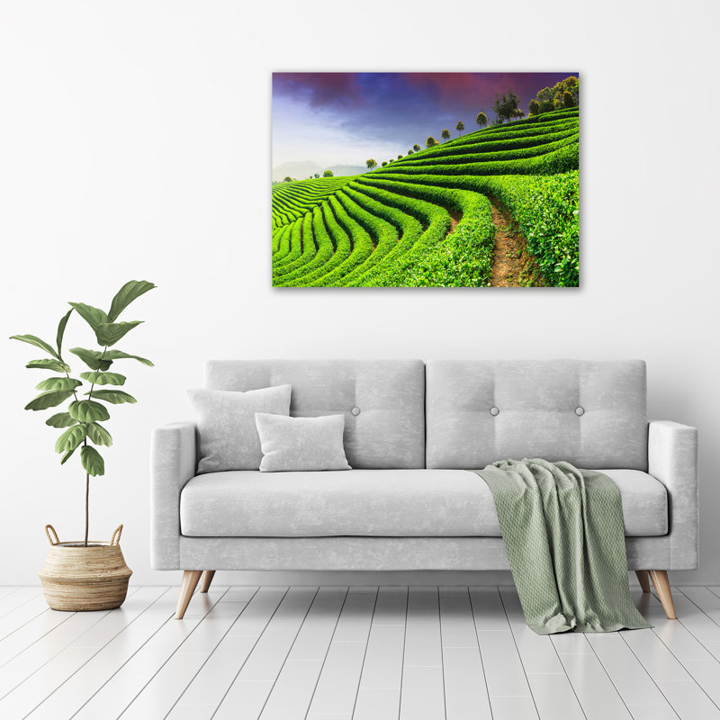 Tea Plantation - Wrapped Canvas Print