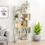 Bibliothèque moderne 31,5 "x 64,56" à 5 niveaux (rangement ouvert)-265897959