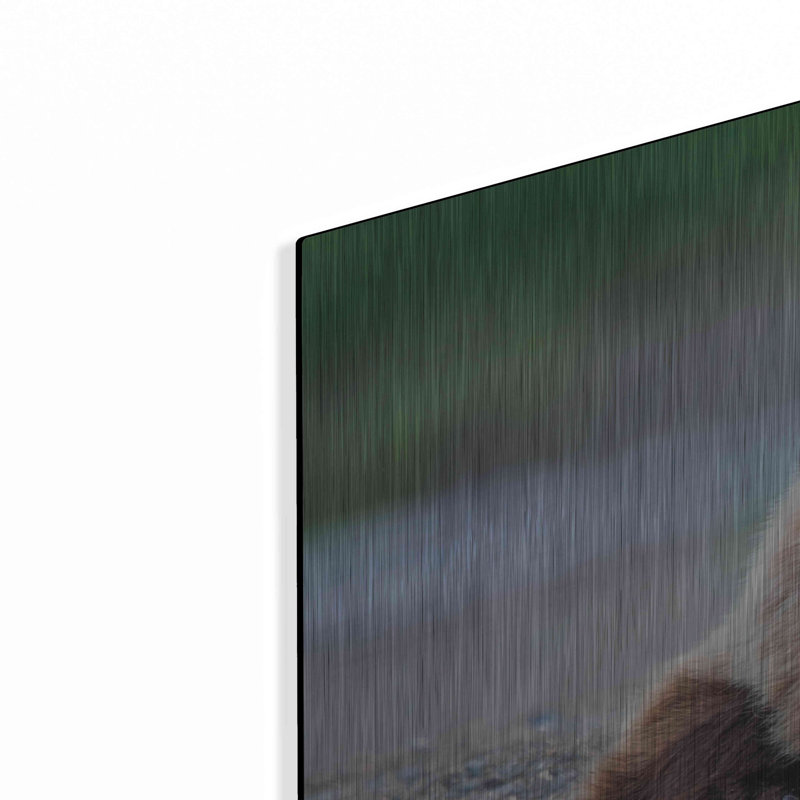 «Bear Life X» par PH Burchett, H 24 po x l 48 po