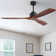 Nicola 60" 3 - Blade Standard Ceiling Fan with Remote Control