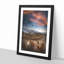 King Penguins & Mountains - Framed Print-56853265-56853268